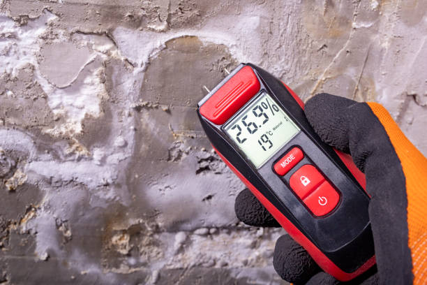 Office Mold Removal Services in Zimmerman, MN