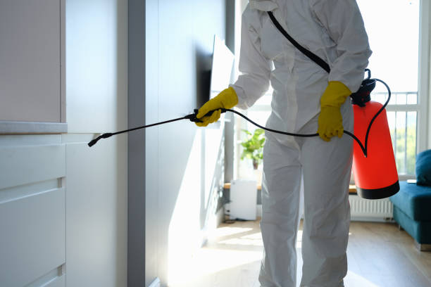 Best Toxic Mold Removal  in Zimmerman, MN