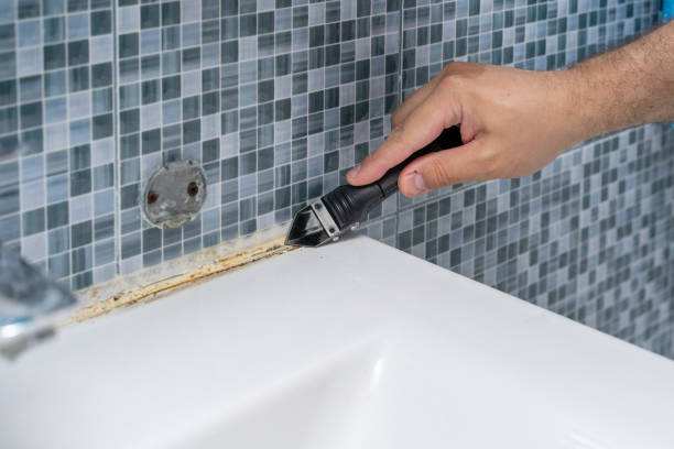 Best Best Mold Removal Companies  in Zimmerman, MN